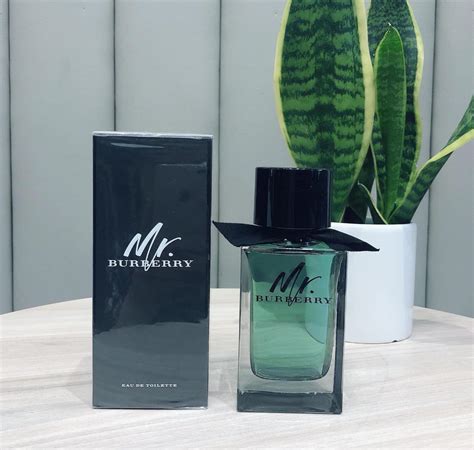 Nước hoa Mr. Burberry for men 